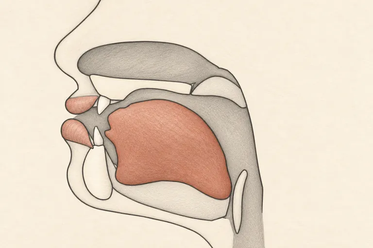 Lips strongly and consistently rounded, tongue fully back and high throughout the vowel.