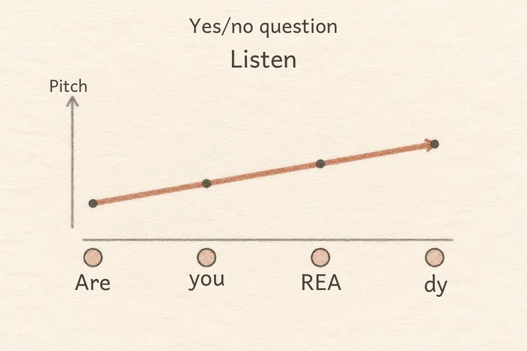ex:en-US:shadowing:intonation_yn#0