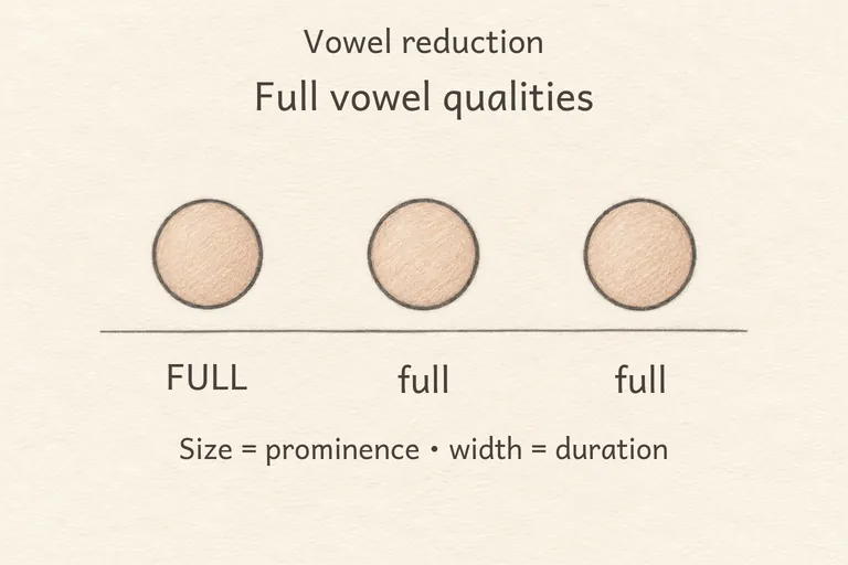 Every vowel in a word shown as equally sized and clearly shaped, with no vowel shrinking regardless of stress.