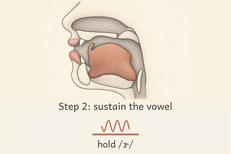 Tongue holds the exact same curled shape steadily through the middle of the vowel.